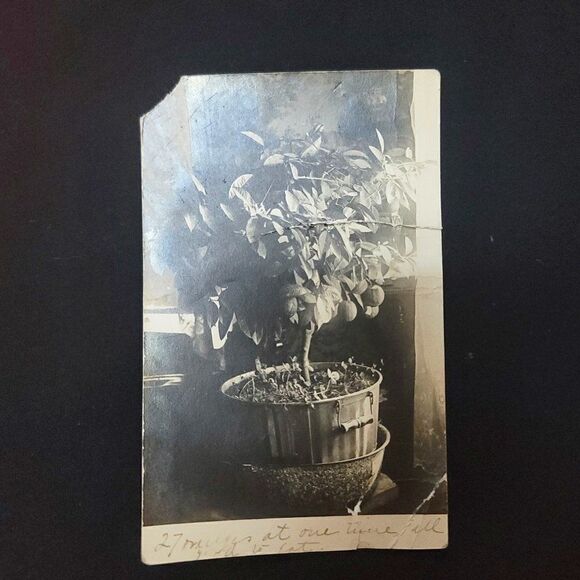 Very Rare Vintage Postcard July 18, 1912 -Benjamin Franklin US Stamp One Cent - Picture 1 of 4